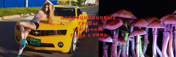 эйфоретик Арсеньев