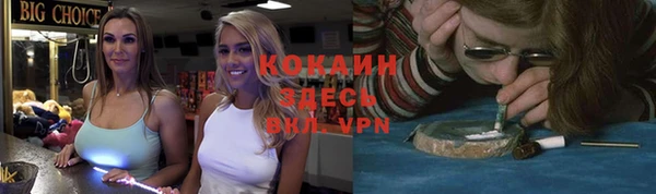 круглые Аркадак