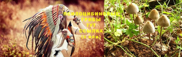 стафф Армянск