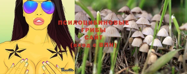 круглые Аркадак