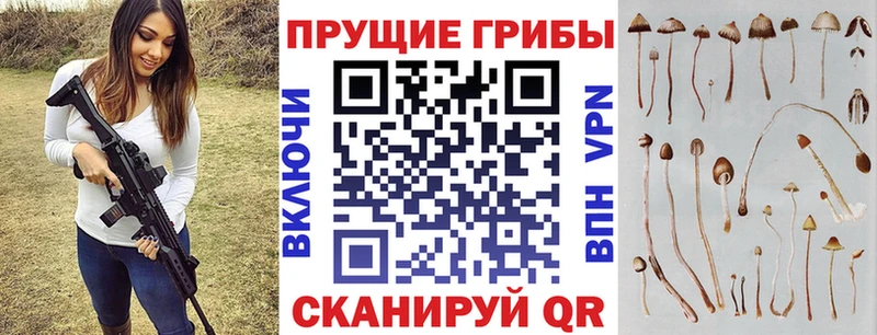 наркота  площадка какой сайт  Псилоцибиновые грибы ЛСД  Олёкминск 